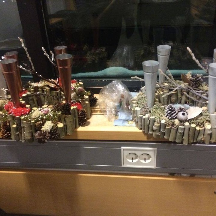 12285782_10205988183877735_769650271_n