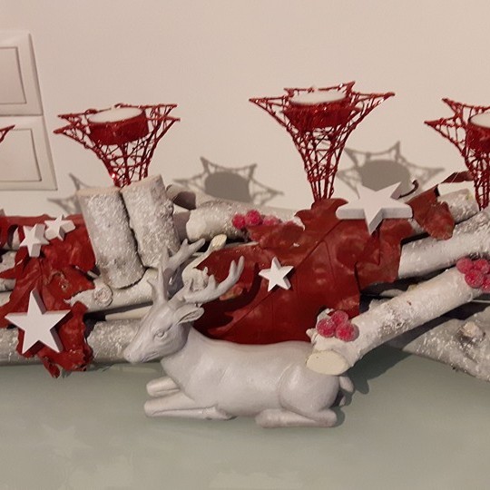 12310663_10153784323844295_5069976328965552222_n