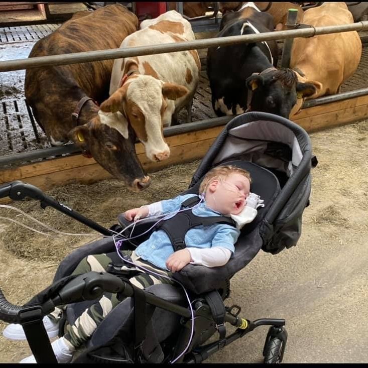 202040192_1664370310440256_8344363310593578509_n