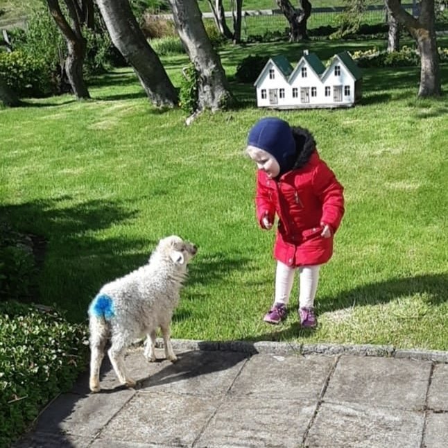 205863983_1664370137106940_6905257138372067564_n