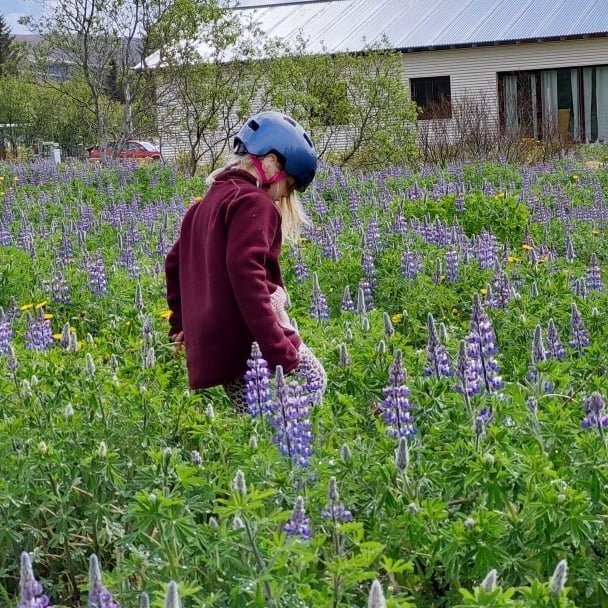 206447465_1664370170440270_1963303365406488857_n