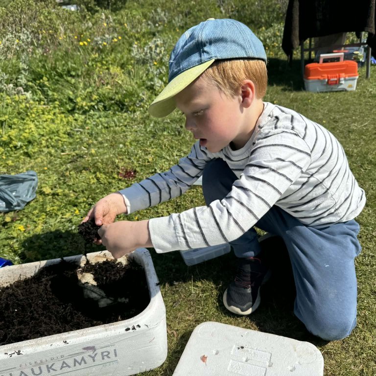 8be6ce6c-929e-41c3-b80d-6393ca68fb21