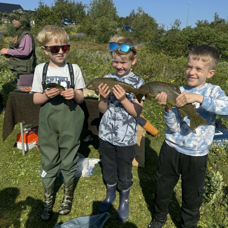 cbbfcdaf-81fd-4eb3-a960-a48d34fc0c51