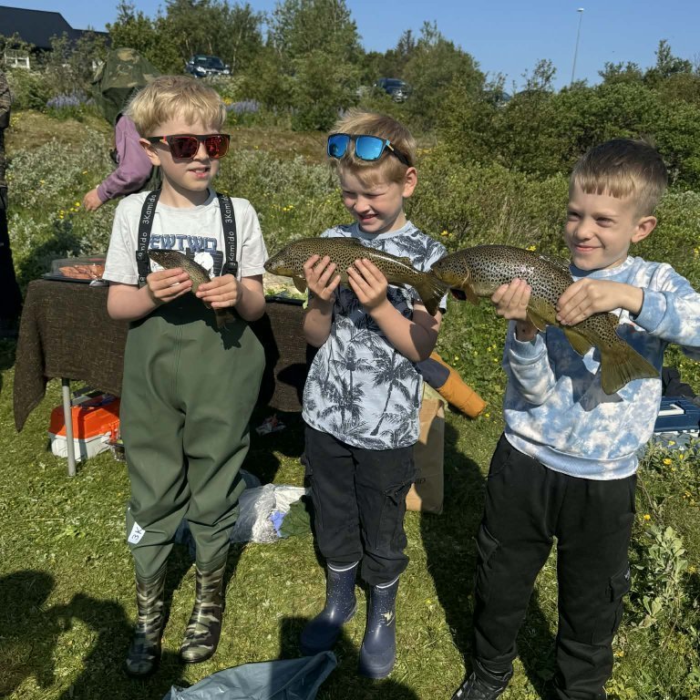 e5c9cf26-5aa5-4167-a008-ff2318b33f9b