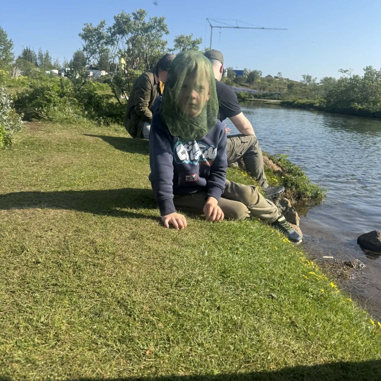 eaede8f4-f74a-4502-b31e-0daeea6ec9c2