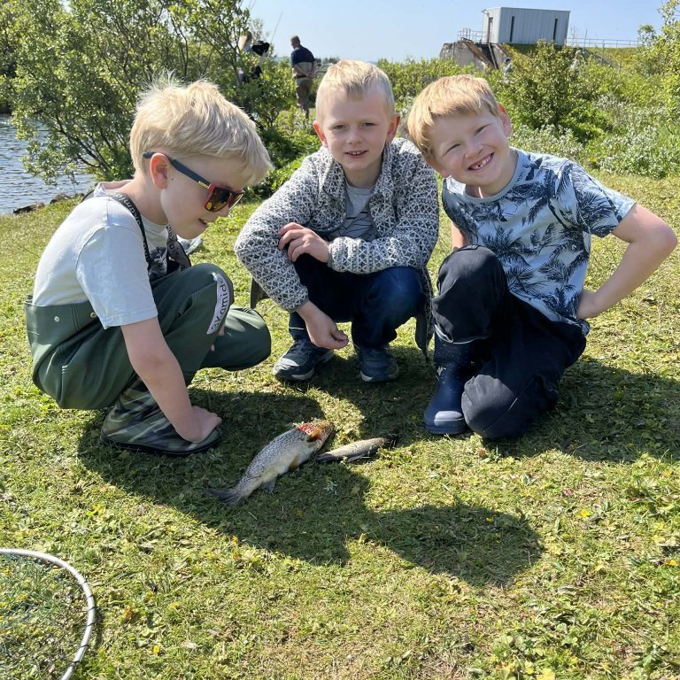 eed7e874-610d-4fcf-a8da-26ae0269b056