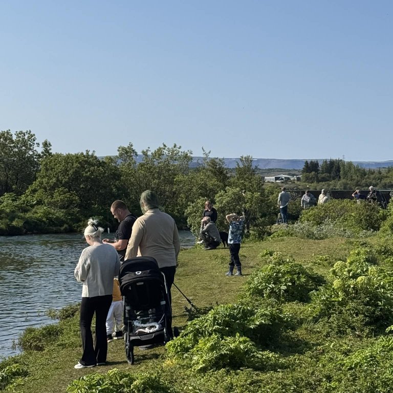 f452eabf-3b25-4d21-b6cb-4ec4c7e46594