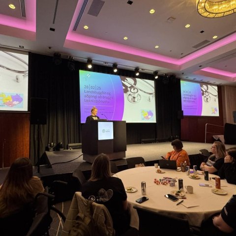 Málþing Einstakra Barna