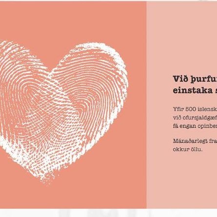 Stuðningur við félagið Einstök börn