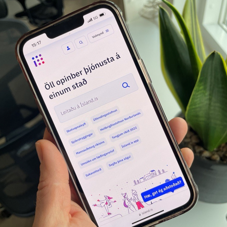 Mynd af vef Stjórnarráðs Íslands