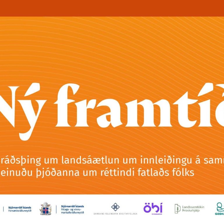 Mynd úr frétt Félags- og vinnumálaráðuneytisins